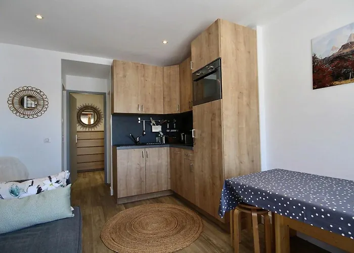 Bel Renove 4/5 Pers. Au Pied Des Pistes - Fr-1-455-66 公寓 *